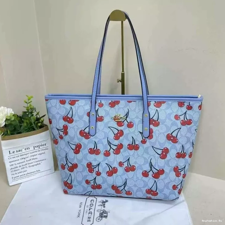 DailyWear Coach Women 161 Handbags For 1120